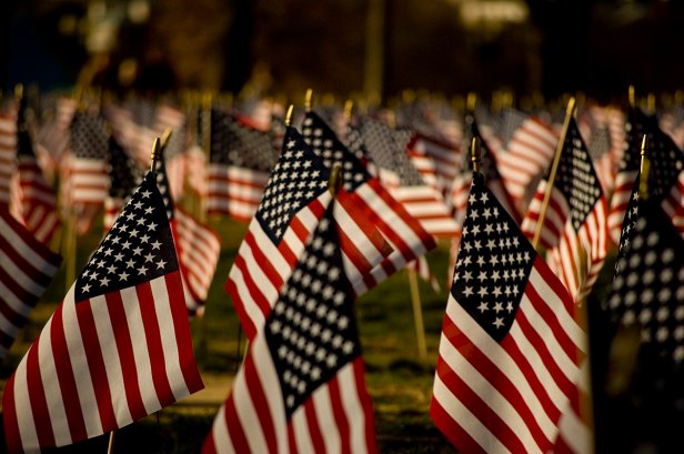 1200px-U.S._flags_on_the_National_Mall,_2007